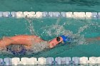 Swimming vs Babson  Wheaton College Swimming vs Babson College. - Photo By: KEITH NORDSTROM : Wheaton, Swimming, Babson